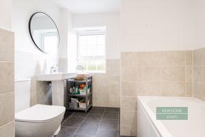 Photo 25- click for photo gallery